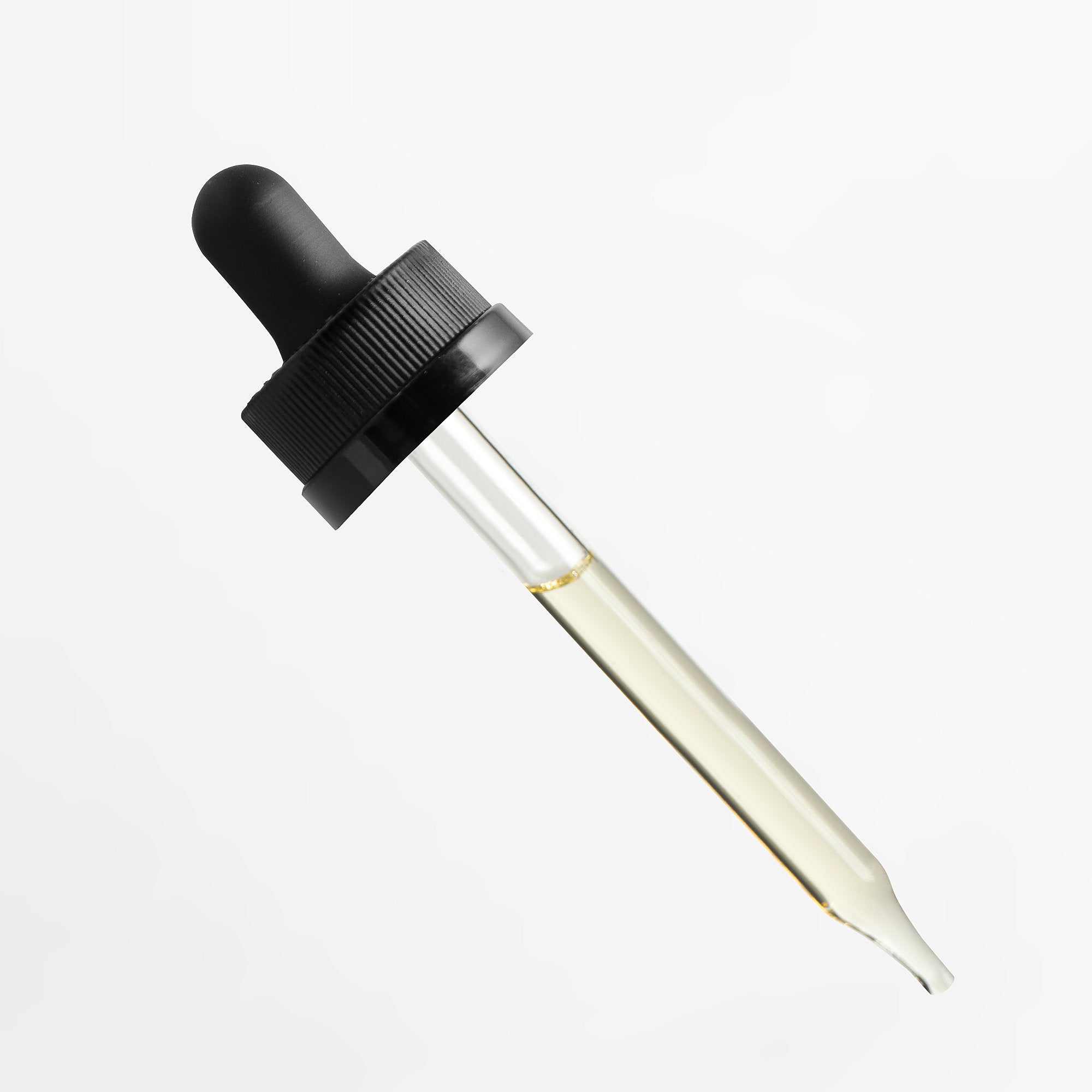 Cactus Piss & Vengeance