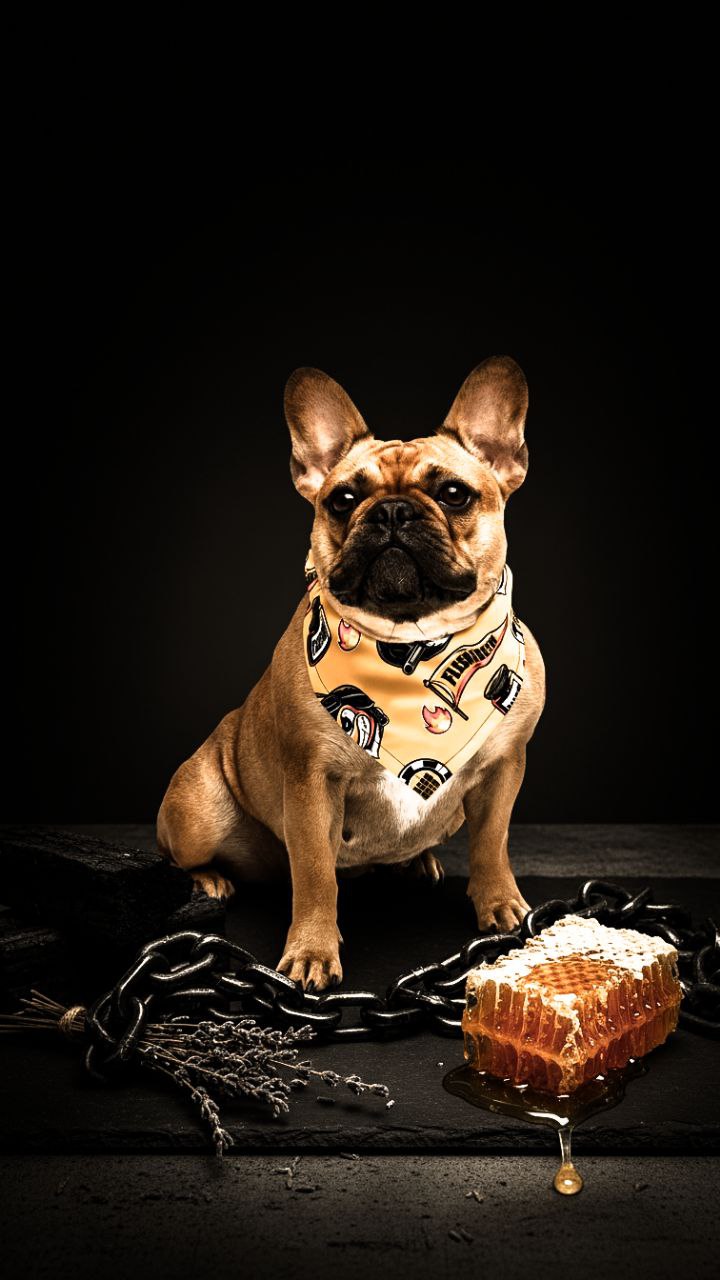Flesh to Death lifestyle — French bulldog with honeycomb